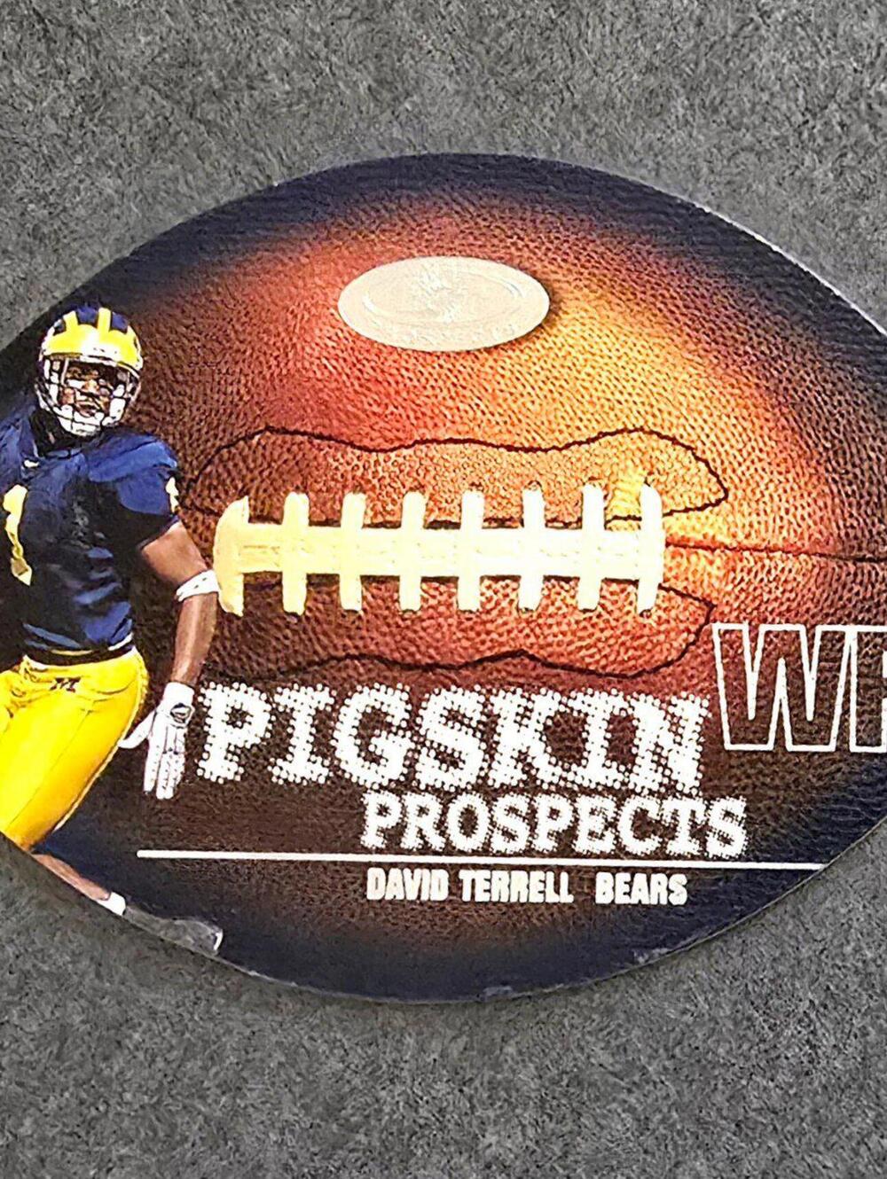 2001 Hot Prospects Pigskin Prospects #PP14 David Terrell Rookie Football Card